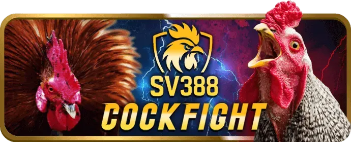 Đá gà cựa sắt trên xoc88