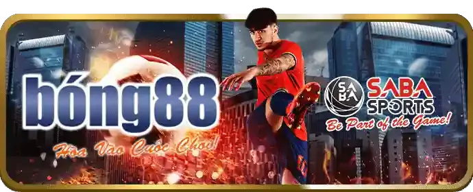 Đá gà cựa dao tại xoc88